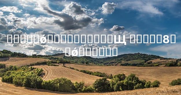 ��Ե��ǿ����������Щ ��Ե��8��ǿ������